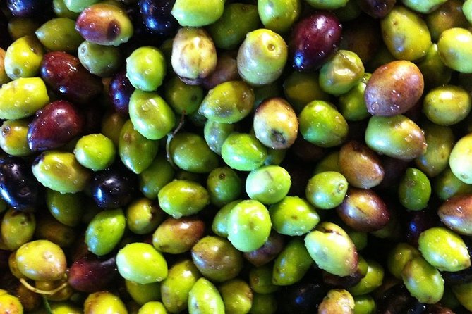 Semi Private Wine and Olive Oil tour (Transfer & Lunch Incl.) - Archanes lunch by Mount Giouhtas: the part you’ll remember