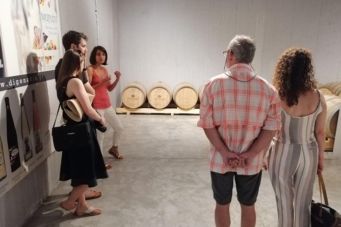 Semi Private Wine, Olive Oil, and Terroir Tour of Heraklion area with Tastings - Peza vineyard drive: the part you shouldn’t rush past