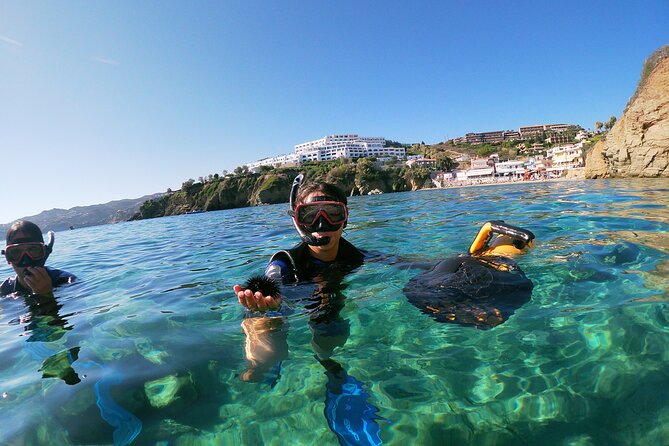 Snorkeling Tour with Sea Scooter in Heraklion - What You’re Likely to See Under the Water