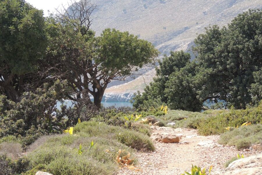 South Crete: Sarakinas Gorge Hike, Swim & Jeep Safari - Kritsa village time: narrow alleys and traditional shops