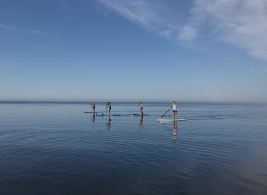 SUP Safari - Catamaran Cruise Dia Island & Gourmet Delights! - Snorkeling at Dia: protected waters, included gear, real time