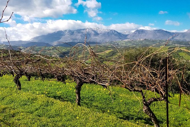 The Gourmet Wine Tour of Heraklion area - Bakaliko Crete olive oil tasting, then Archanes lunch