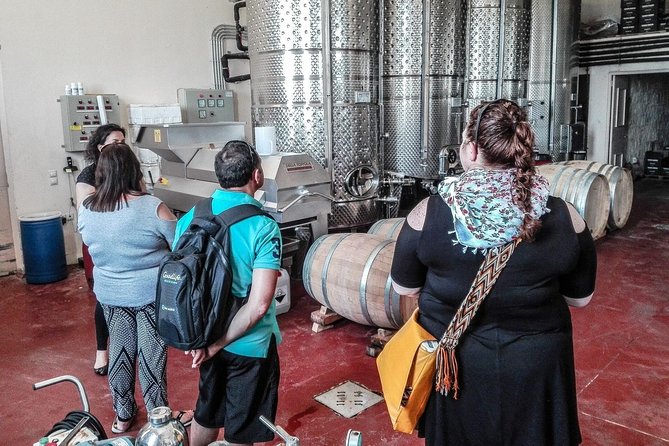 The Gourmet Wine Tour of Heraklion area - Value check: is $199.12 worth it?