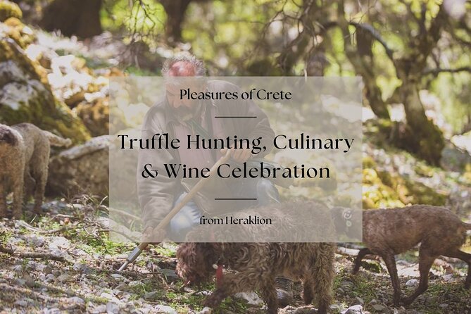 Truffle Hunting, Culinary & Wine Celebration from Heraklion - Key highlights worth your attention