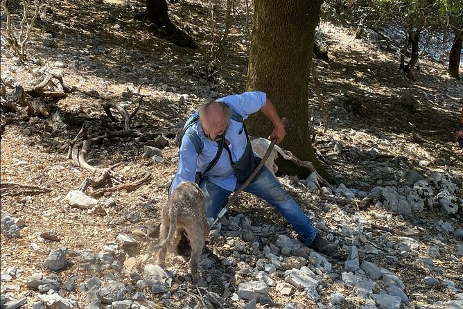 Truffle Hunting, Culinary & Wine Celebration from Heraklion - Dikteon Cave and Panagia Kera Kardiotissa: Zeus’s setting, plus a monastery stop