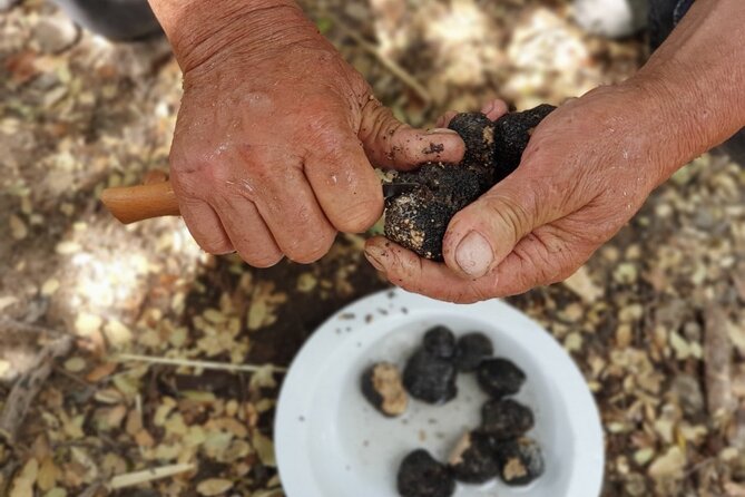 Truffle Hunting, Culinary & Wine Celebration from Heraklion - Timing, energy, and what to pack (so you’re not miserable at hour six)