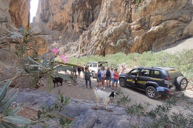 Trypiti beach and gorge Jeep Safari - Stop 4: The Trypiti Beach swim—quiet water time before lunch
