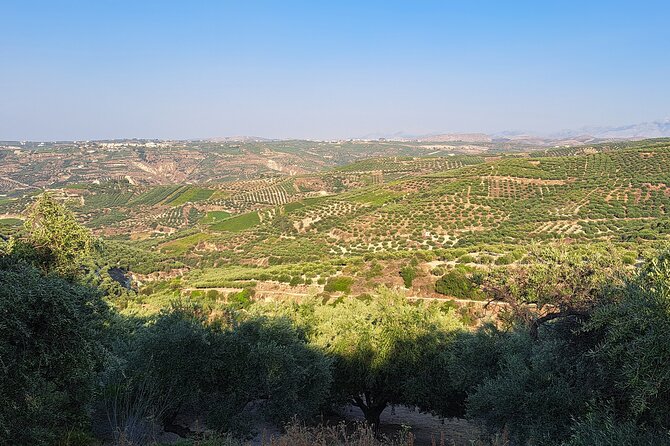 Wine Raki Olive Oil Tasting and Pottery - Private Tour - Price and Value: What $144.35 Really Buys You