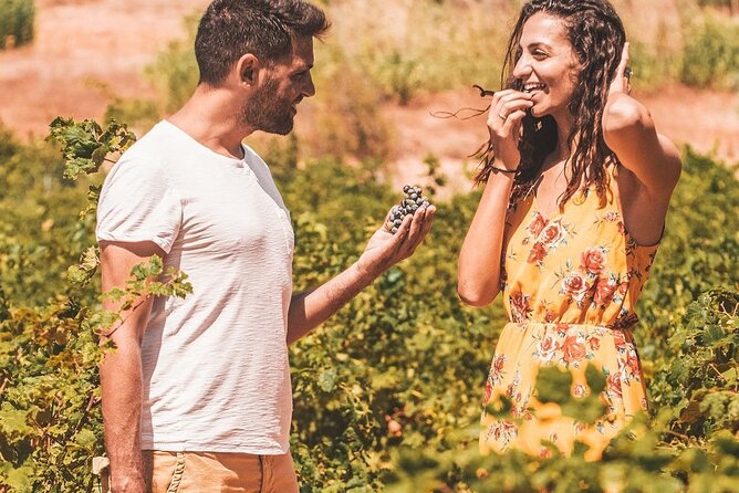 Your Private Driver & Chauffeur Service in Crete from Heraklion - Tickets, skip-the-line help, and when you might need a guide